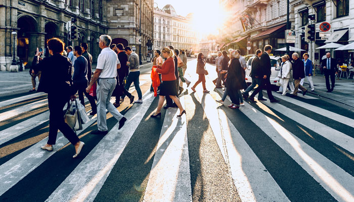 Steam Engine Diagram